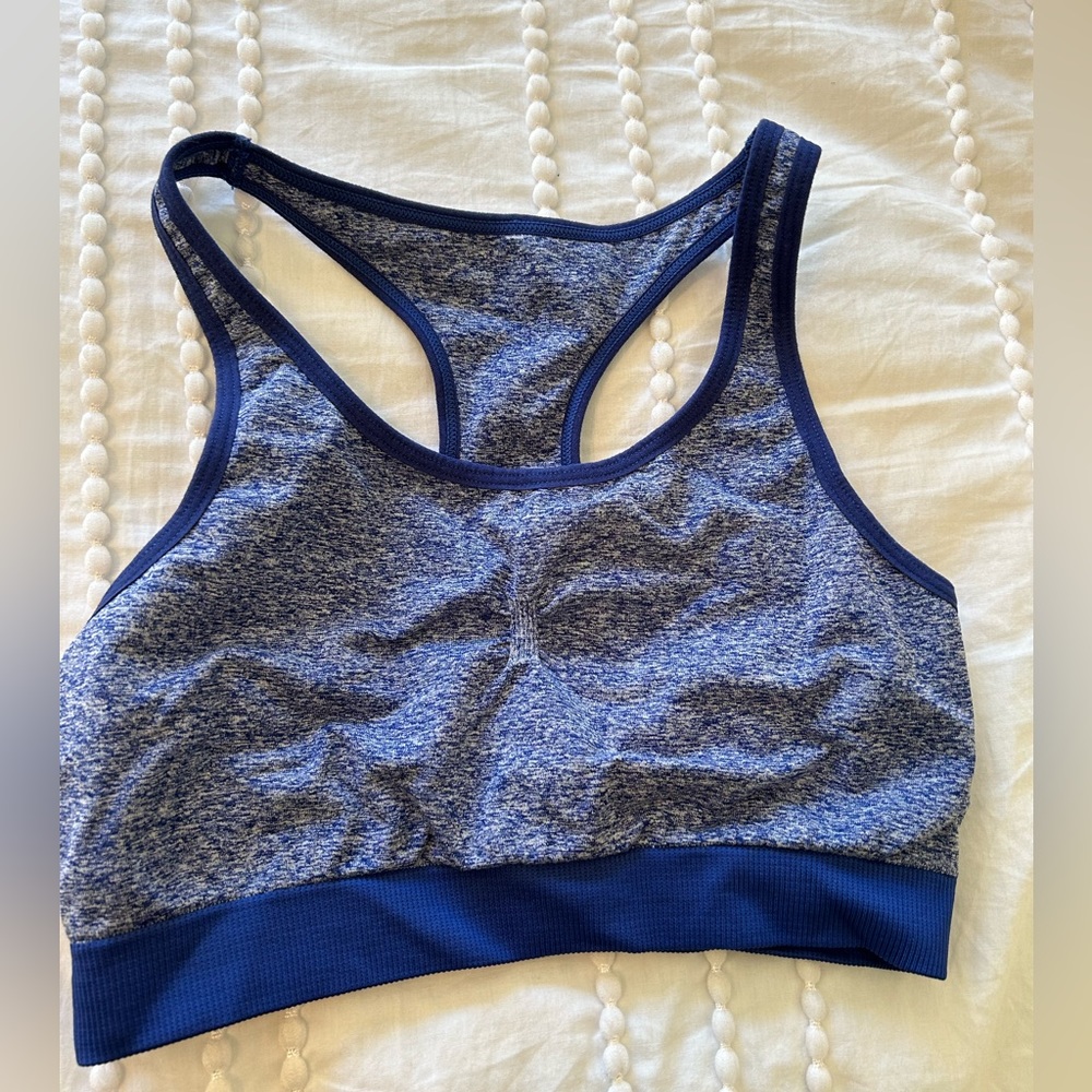 Aerie Sports Bra Heathered Blue